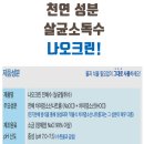 크린방역