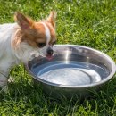 해든메디컬센터 이미지