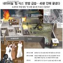 라덴 이미지