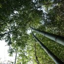 차오름요양병원 이미지