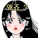 완도문화예술의전당 이미지