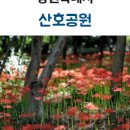 산호동136 이미지