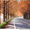 담양군금성면덕성보건진료소 이미지