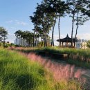 도솔광장 이미지