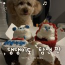 부퇴사 | 아빠 퇴사 케이크 주문했다가 3년째 단골이 된 분당 케이크집