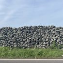 지글로벌 이미지