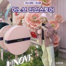 성수 팝업스토어 11월 일정 어노브 헤어퍼퓸 성수동 데이트코스