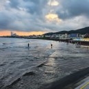 삼양해수욕장 이미지