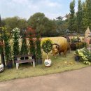 국화어린이공원 이미지