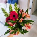 꽃님이 | 꽃님이 꽃배송 후기 ｜가성비 좋은 꽃배송을 찾는다면 💐