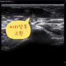 나만 애 동물병원 이미지