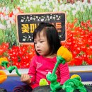 다정다감, 봄 이미지