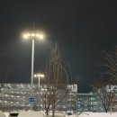 주차81 | [뉴욕/신혼여행] 26년 2월 인천-뉴욕 직항 대한항공 KE81 이용 후기