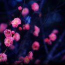 세상을 보는 눈