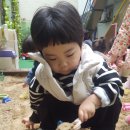 트니트니 3반 이미지