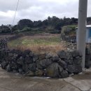 납읍초등학교 이미지