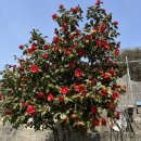 율림경로당 이미지