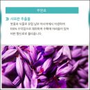 트라이엄프 - 군포시 번영로 504 | 스트레스 피로 개선에 도움! 뉴스킨 TRME 마이트라이엄프 솔직 후기 &성분 완벽 정리