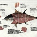 우리동네 참치정육점 이미지