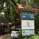 멍때려 | 반달살이 : 코끼리 숙소 타완리버사이드 1박 후기/ Tawan river side 숲멍때리고 코끼리 모닝콜하기