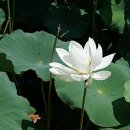 주식회사 청명 이미지