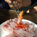 마라도참치 이미지