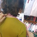 삼보주단
