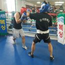 윤석현 복싱 이미지