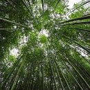 고성마을 이미지