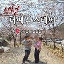 낭만 투스테이 C | 산청 더예감스테이 오토캠핑장 3월 벚꽃 개화상황 사이트 놀이시설 아이랑