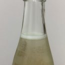 오토즈 | [야마구치현] 오미네 3츠부 후유노오토즈레 오리가라미 aka 설녀