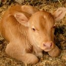 농가월령 이미지