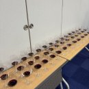 [단일과정] 와인소믈리에 | 분당 끌라시꼬 교육원 • 성남 미금 • 와인 소믈리에 기초과정 : 와인천재로 거듭나기 week 1