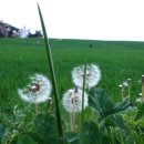 덕정농장3 이미지