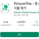 [오프라인] ★생활속 어플 활용법★ / 군자동 | 꽃이름 찾기 어플 PictureThis 앱 사용법