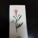 위성초등학교 이미지