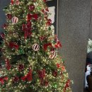 배연식당 | 중문 맛집 고기집 서귀포 저녁식사 추천! ‘욜다’ 흑돼지 솔직 후기