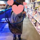 어부바낚시까페 이미지