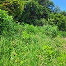 세진베이커리 이미지