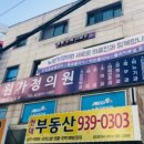 다니부띠끄 이미지
