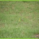 수원자연한의원 이미지