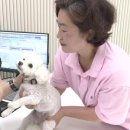 김포시 반려동물 공공진료센터 이미지