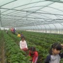 옥봉어린이집 이미지