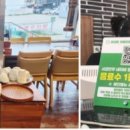 연동한우집연동본점 이미지