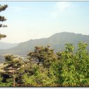 장성수산 이미지