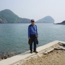백아도 Daum카페