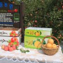 장현농원 이미지