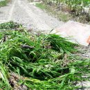 신지농장 이미지