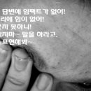 라플라잇승무원학원 이미지