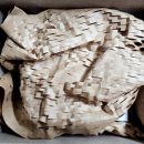 동일어린이집 | 어린이집 준비물 아기사진 스텐양치컵 후기